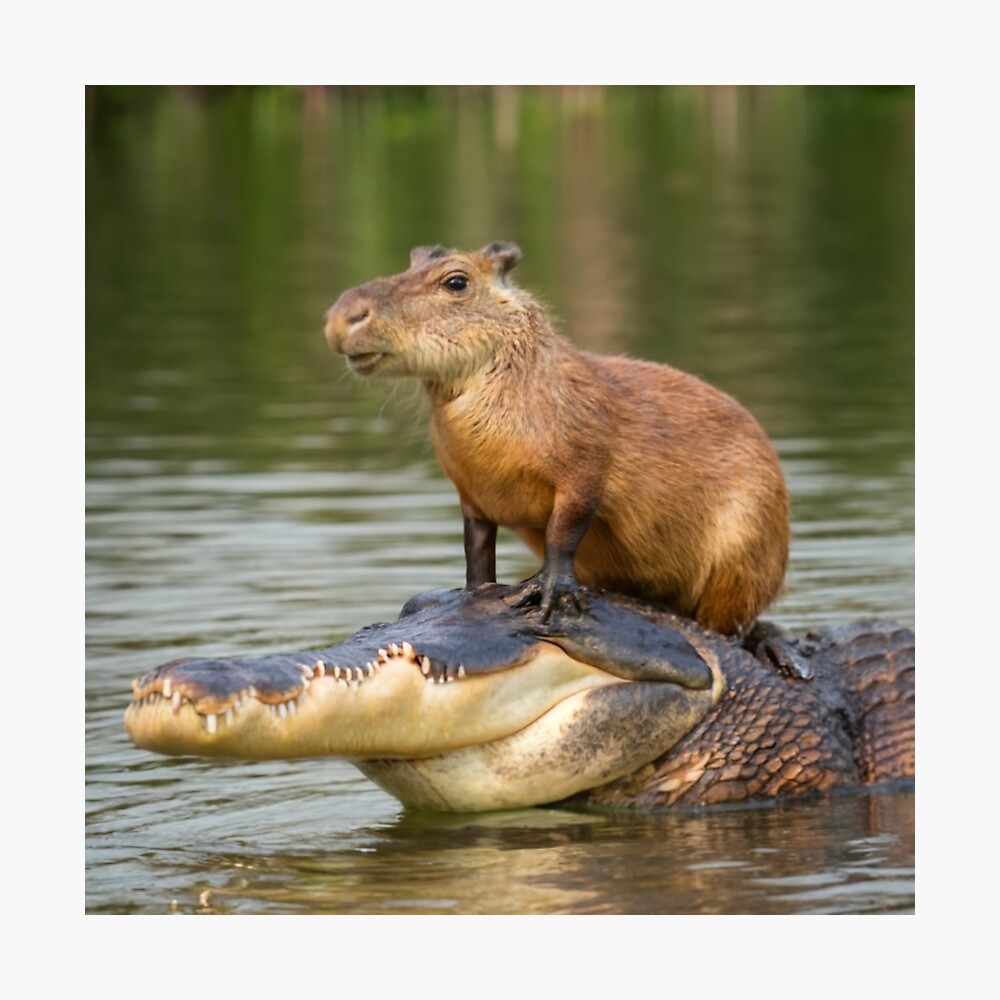 Capybara on alligator Poster
