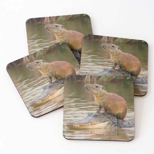 Item preview, Capybara on alligator designed and sold by PawelNature.