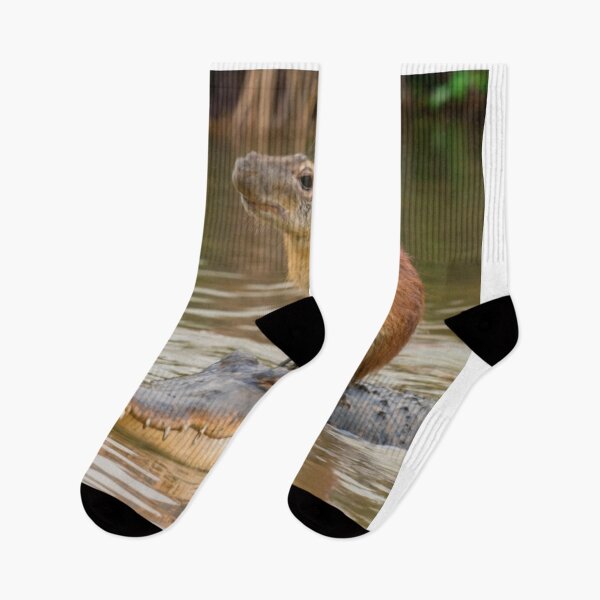 Item preview, Capybara on alligator designed and sold by PawelNature.