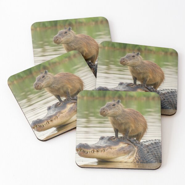 Item preview, Capybara on alligator designed and sold by PawelNature.