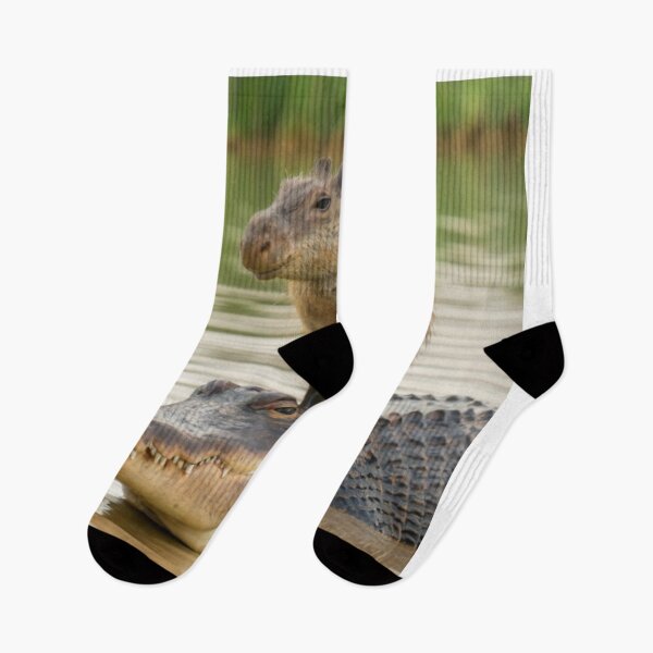 Item preview, Capybara on alligator designed and sold by PawelNature.