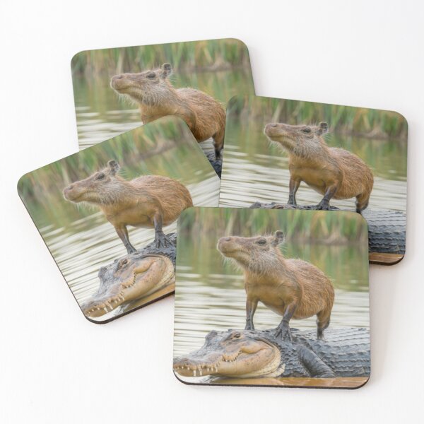Item preview, Capybara on alligator designed and sold by PawelNature.