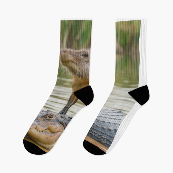 Item preview, Capybara on alligator designed and sold by PawelNature.