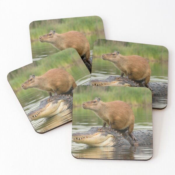 Item preview, Capybara on alligator designed and sold by PawelNature.