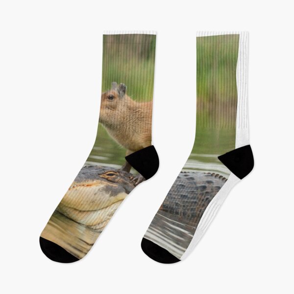 Item preview, Capybara on alligator designed and sold by PawelNature.