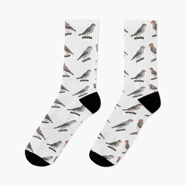 Item preview, Australian and Timor zebra finch pairs white background designed and sold by yaoyao-friends.