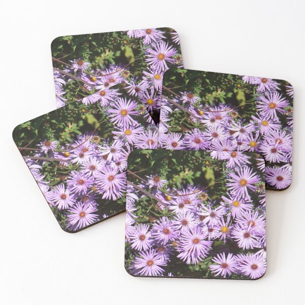 Item preview, New England Aster designed and sold by okomedesign.