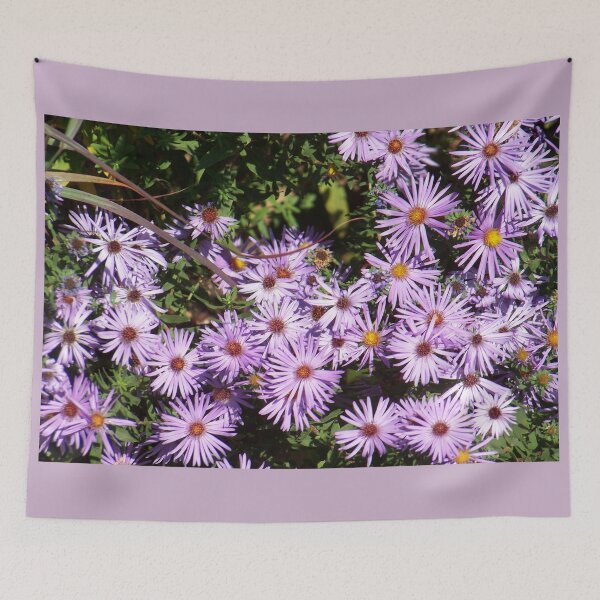 Item preview, New England Aster designed and sold by okomedesign.