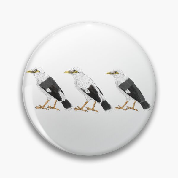 Item preview, three subspecies of Black-winged myna designed and sold by yaoyao-friends.