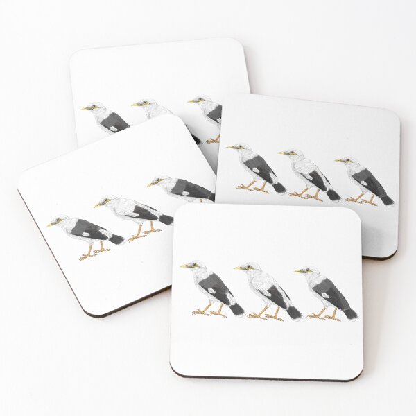Item preview, three subspecies of Black-winged myna designed and sold by yaoyao-friends.