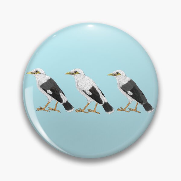 Item preview, three subspecies of Black-winged myna misty blue designed and sold by yaoyao-friends.