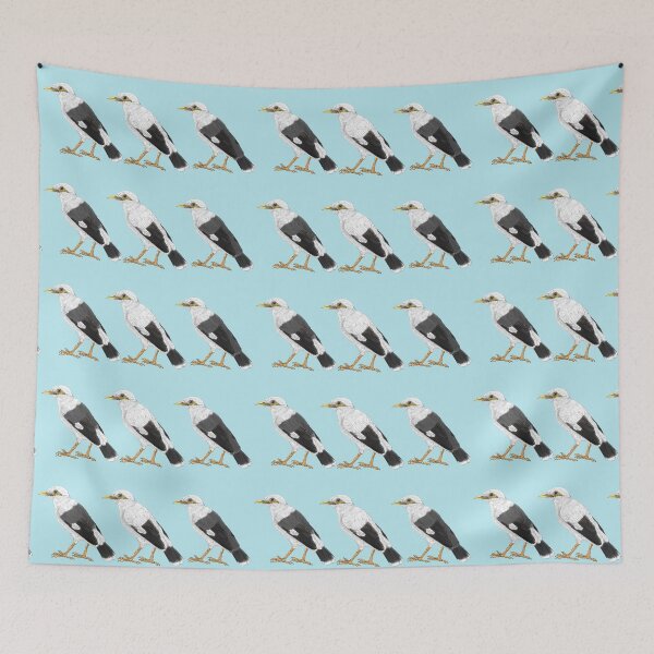 Item preview, three subspecies of Black-winged myna misty blue designed and sold by yaoyao-friends.