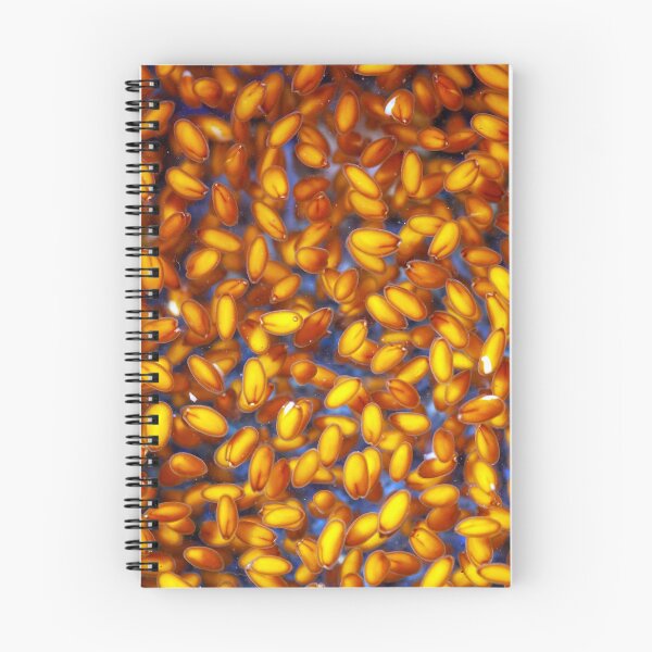 Item preview, Macro photo of garden cress seeds swelling in water designed and sold by Zosimus.