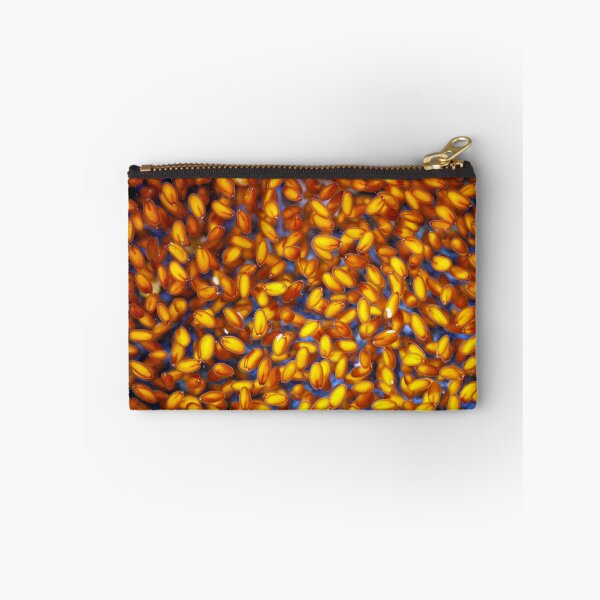 Item preview, Macro photo of garden cress seeds swelling in water designed and sold by Zosimus.