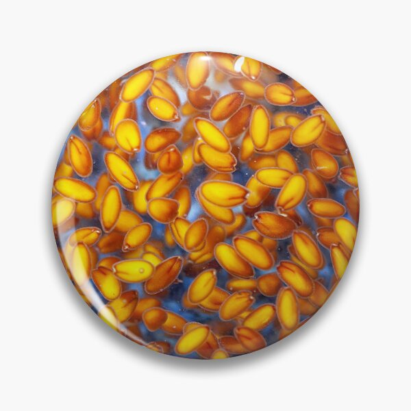 Item preview, Garden cress seeds swelling in water designed and sold by Zosimus.