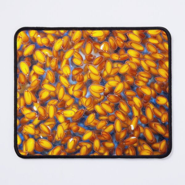 Item preview, Garden cress seeds swelling in water designed and sold by Zosimus.