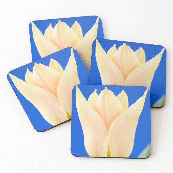 Item preview, Tulipa  'Fur Elise'  Tulip  Greigii Group  designed and sold by Chris Burrows.