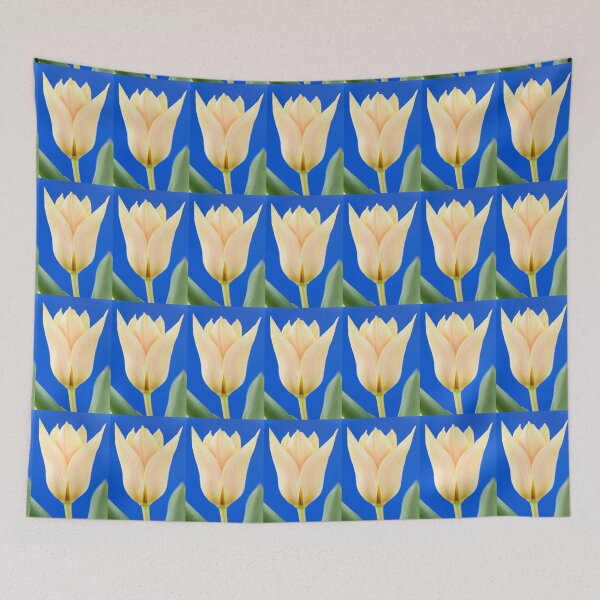 Item preview, Tulipa  'Fur Elise'  Tulip  Greigii Group  designed and sold by Chris Burrows.