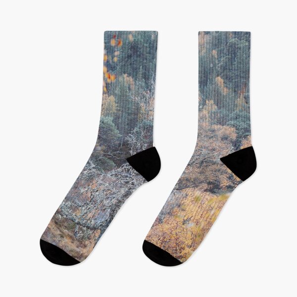 Item preview, A Birch designed and sold by ShinyPhoto.