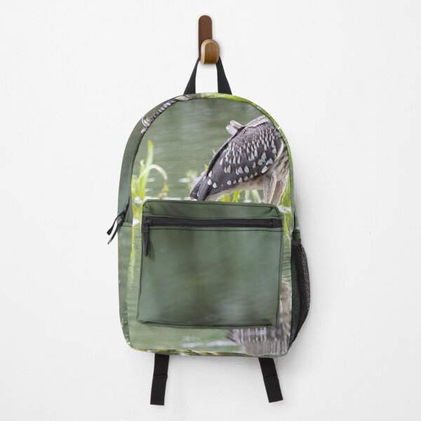 Item preview, Juvenile black-crowned night-heron, Nycticorax nycticorax designed and sold by Zosimus.