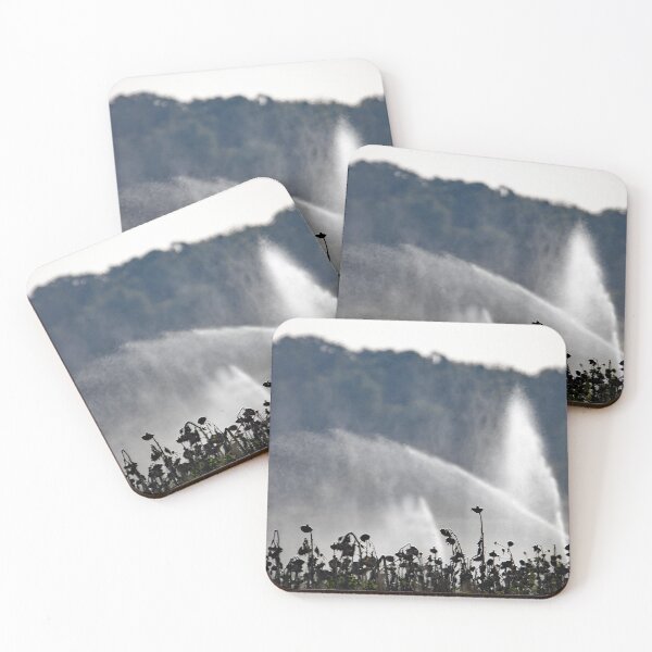 Item preview, Water jets from an irrigation system over a field of dry sunflowers designed and sold by Zosimus.