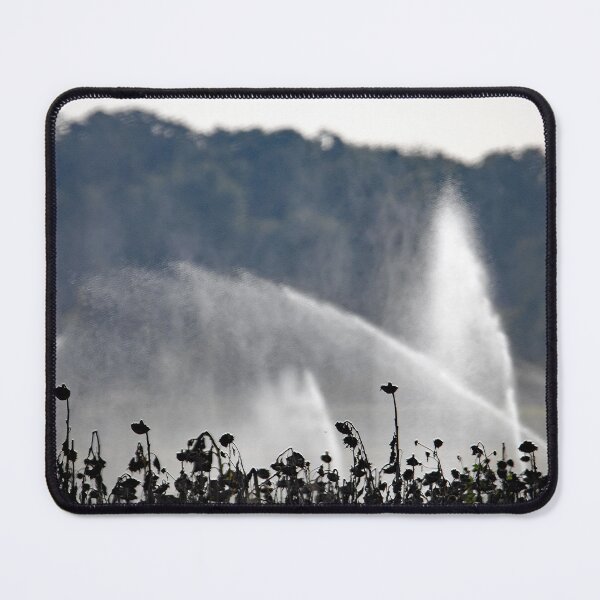 Item preview, Water jets from an irrigation system over a field of dry sunflowers designed and sold by Zosimus.
