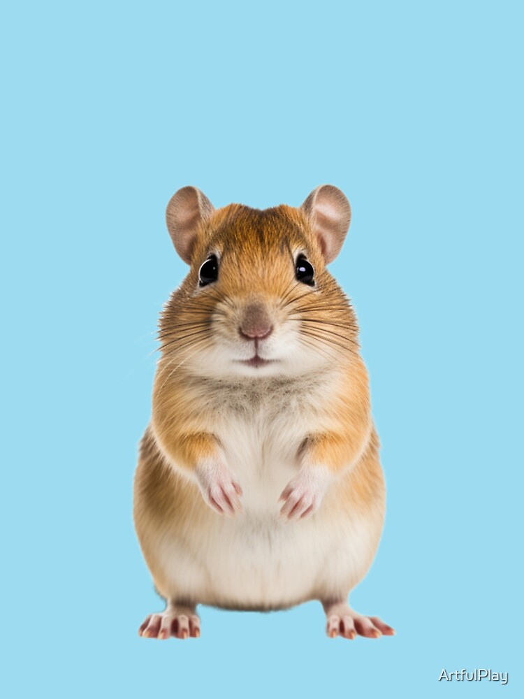 Gerbil cute best sale