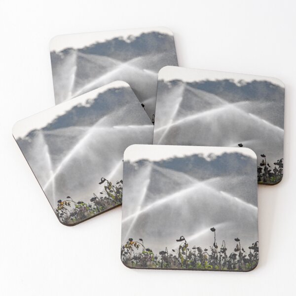 Item preview, Water jets from an irrigation system over a field of dry sunflowers designed and sold by Zosimus.