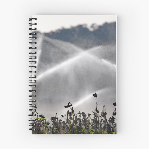 Item preview, Water jets from an irrigation system over a field of dry sunflowers designed and sold by Zosimus.