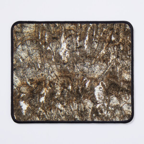 Item preview, Microscopic photo of a thin section of calcareous tufa of Holocene age designed and sold by Zosimus.