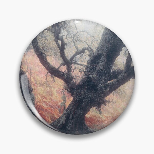 Item preview, Spooky Tree, Glen Affric designed and sold by ShinyPhoto.