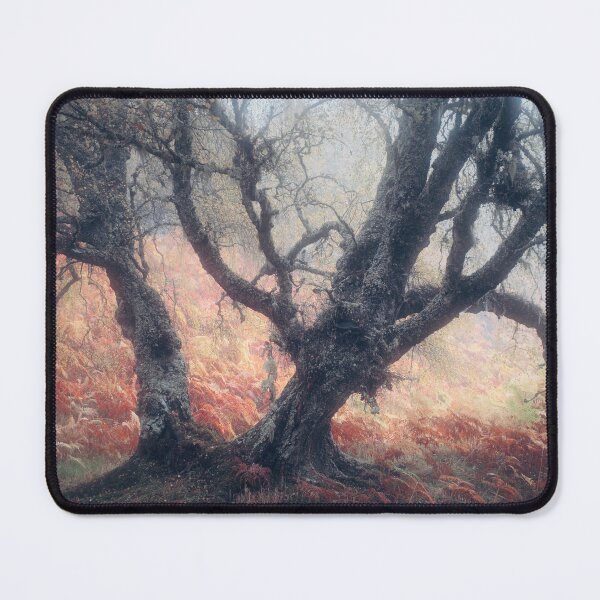 Item preview, Spooky Tree, Glen Affric designed and sold by ShinyPhoto.