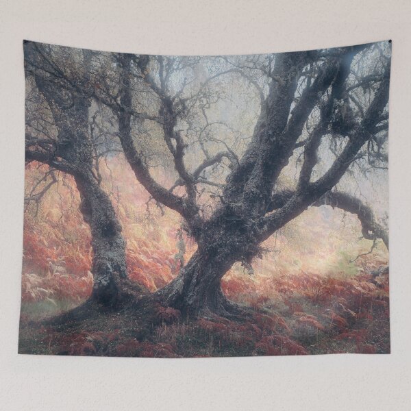 Item preview, Spooky Tree, Glen Affric designed and sold by ShinyPhoto.