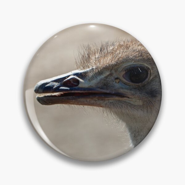 Item preview, Portrait of an ostrich, Struthio camelus designed and sold by Zosimus.