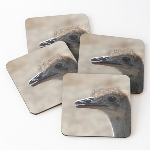 Item preview, Portrait of an ostrich, Struthio camelus designed and sold by Zosimus.