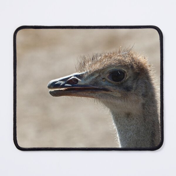 Item preview, Portrait of an ostrich, Struthio camelus designed and sold by Zosimus.