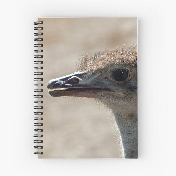Item preview, Portrait of an ostrich, Struthio camelus designed and sold by Zosimus.