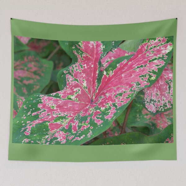 Item preview, Caladium designed and sold by okomedesign.