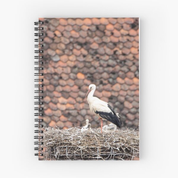 Item preview, White Stork, Ciconia ciconia, with chicks on his nest designed and sold by Zosimus.