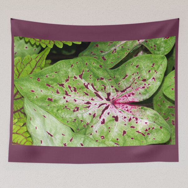 Item preview, Caladium Spots designed and sold by okomedesign.