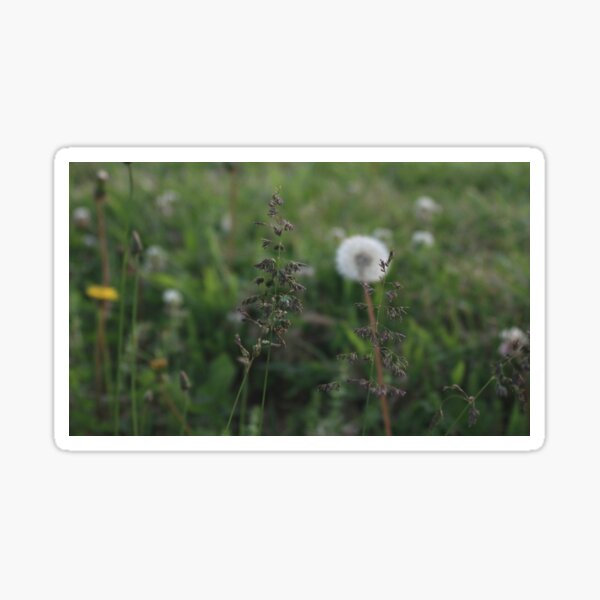 Item preview, Wildflower Meadow designed and sold by Jessica’s Creative Pursuits.