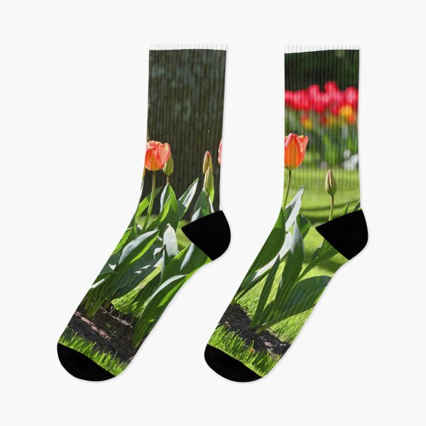 Item preview, Pretty colorful Tulips designed and sold by studio838.