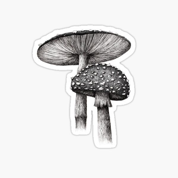 Amanitas Sticker