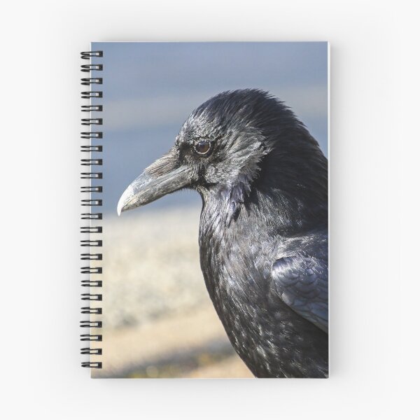 Item preview, Catching the light designed and sold by GreyFeatherPhot.