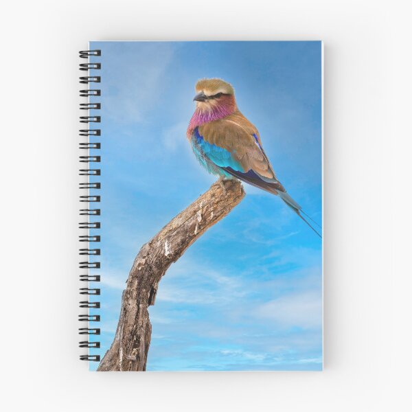 Item preview, Beauty With Wings, The Lilac Breasted Roller designed and sold by Kay Brewer.