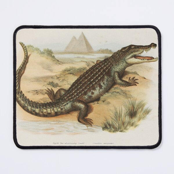 Item preview, Vintage Nile River Crocodile Illustration designed and sold by InnerCitadel.