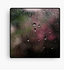 Washed windows are boring! Canvas Print