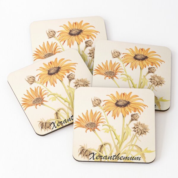 Item preview, Xeranthemum Flowers Inspired By My Mothers Flower Paintings  designed and sold by CDC40.