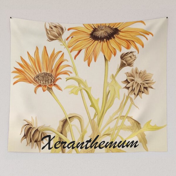 Item preview, Xeranthemum Flowers Inspired By My Mothers Flower Paintings  designed and sold by CDC40.