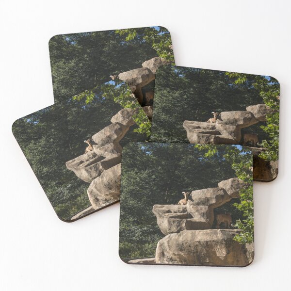 Item preview, Goat on the ledge designed and sold by Thilina Kasthuriarachchi.